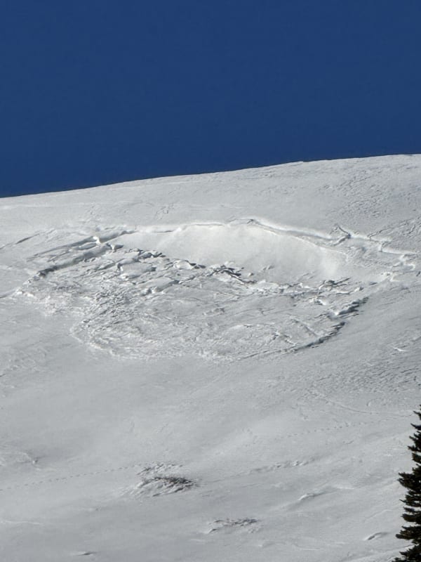 Observation photo 2