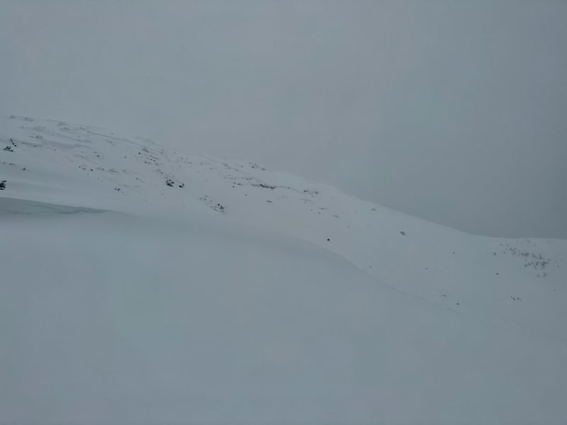 Observation photo 1