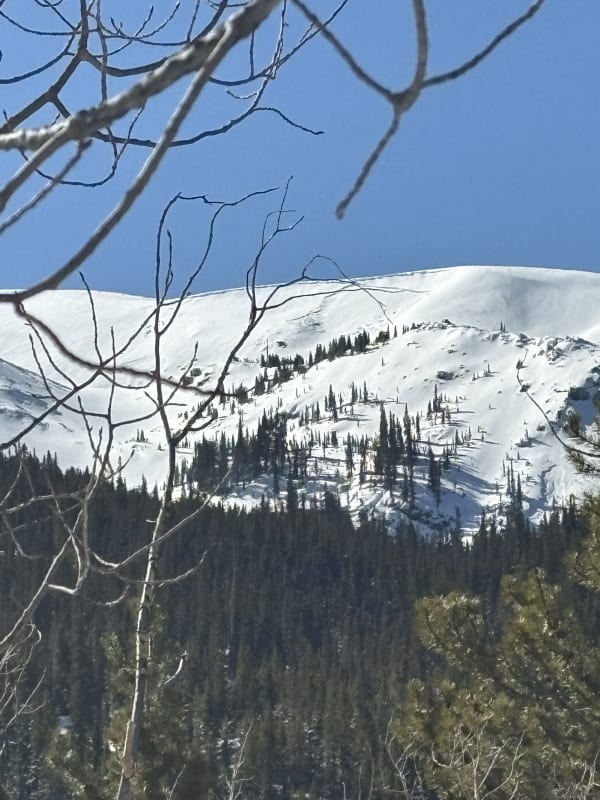 Observation photo 2