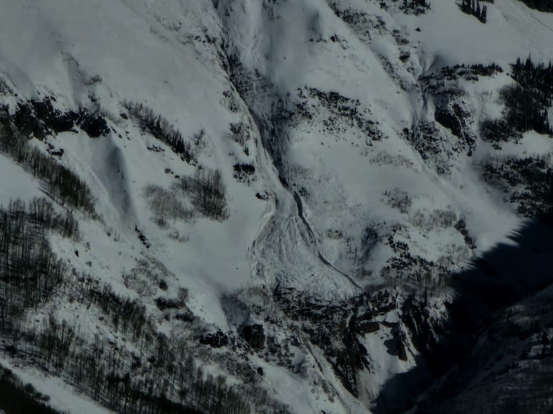 Observation photo 8
