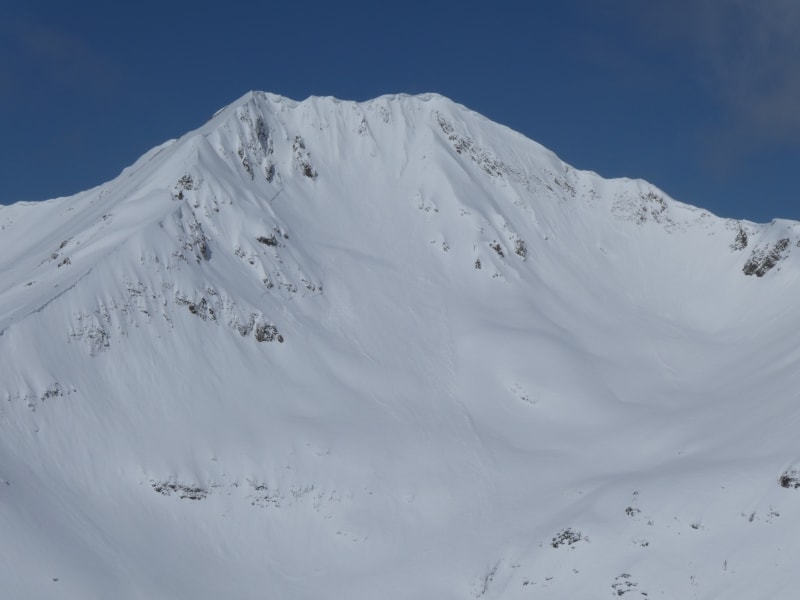 Observation photo 2