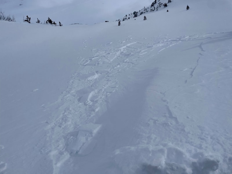 Observation photo 1