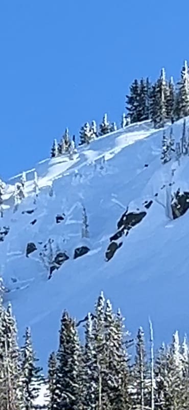 Observation photo 3