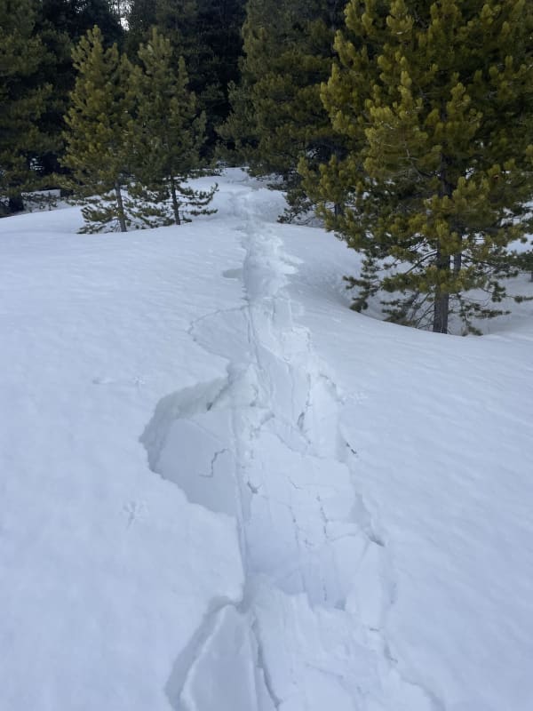 Observation photo 3