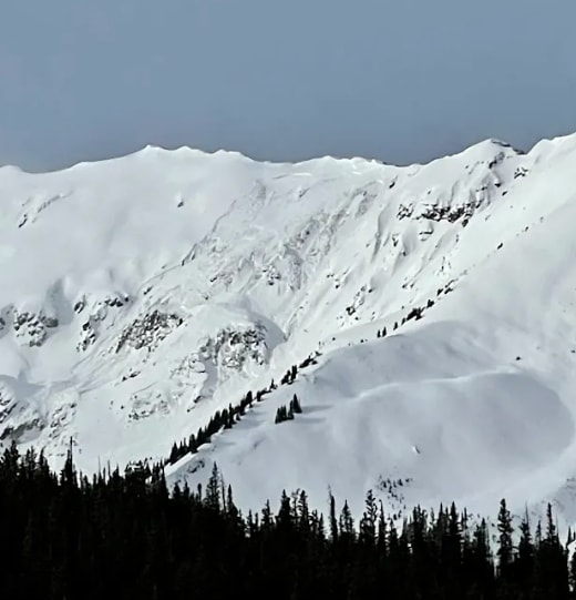 Observation photo 1