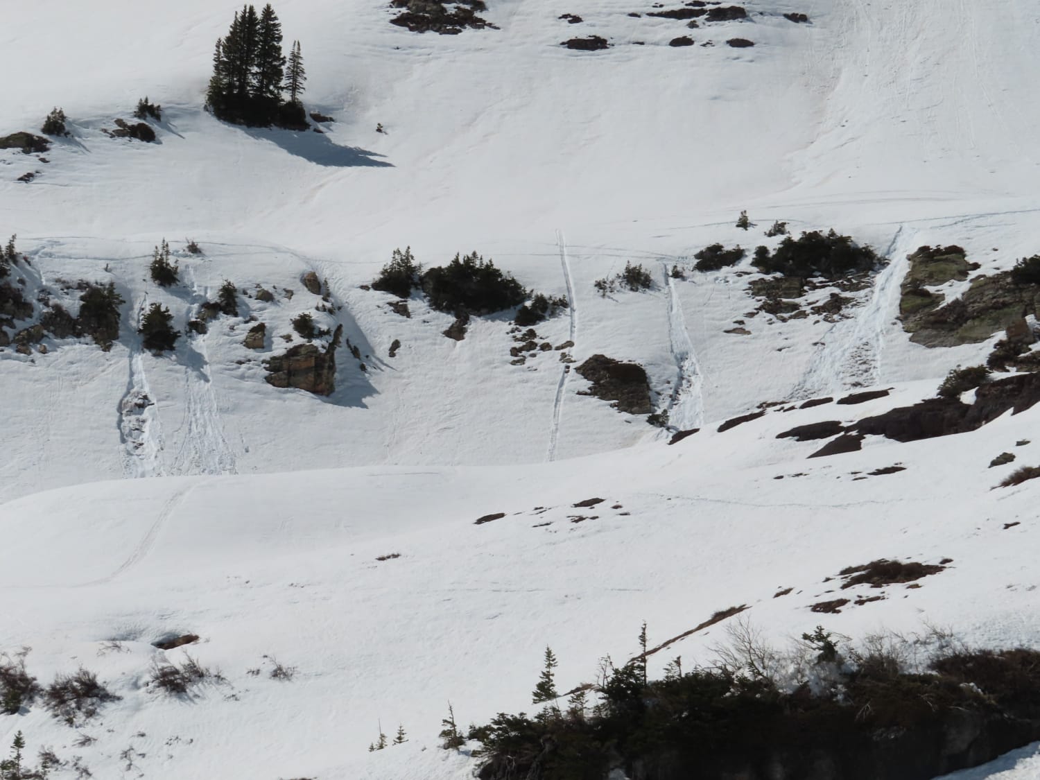 Observation photo