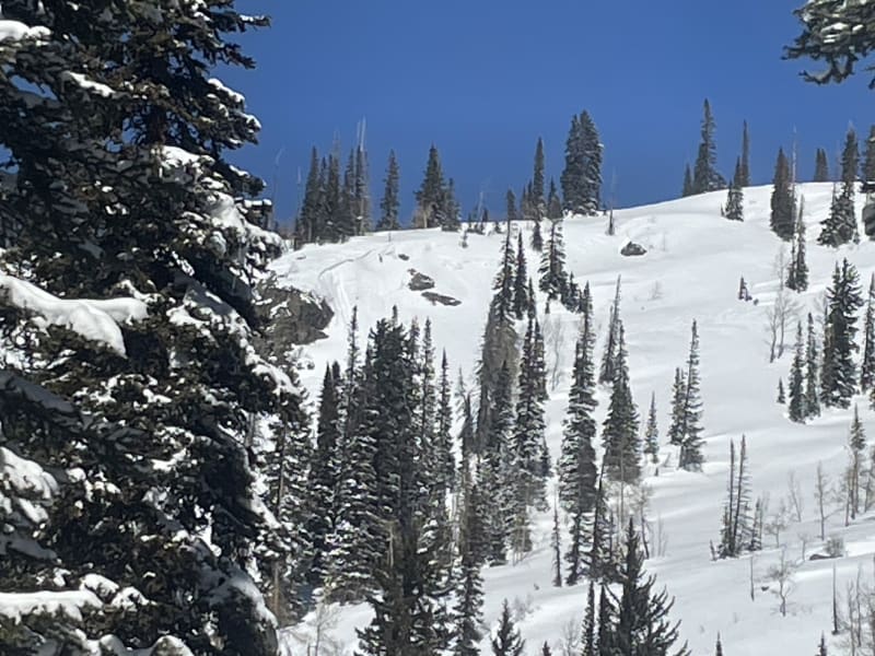 Observation photo 1