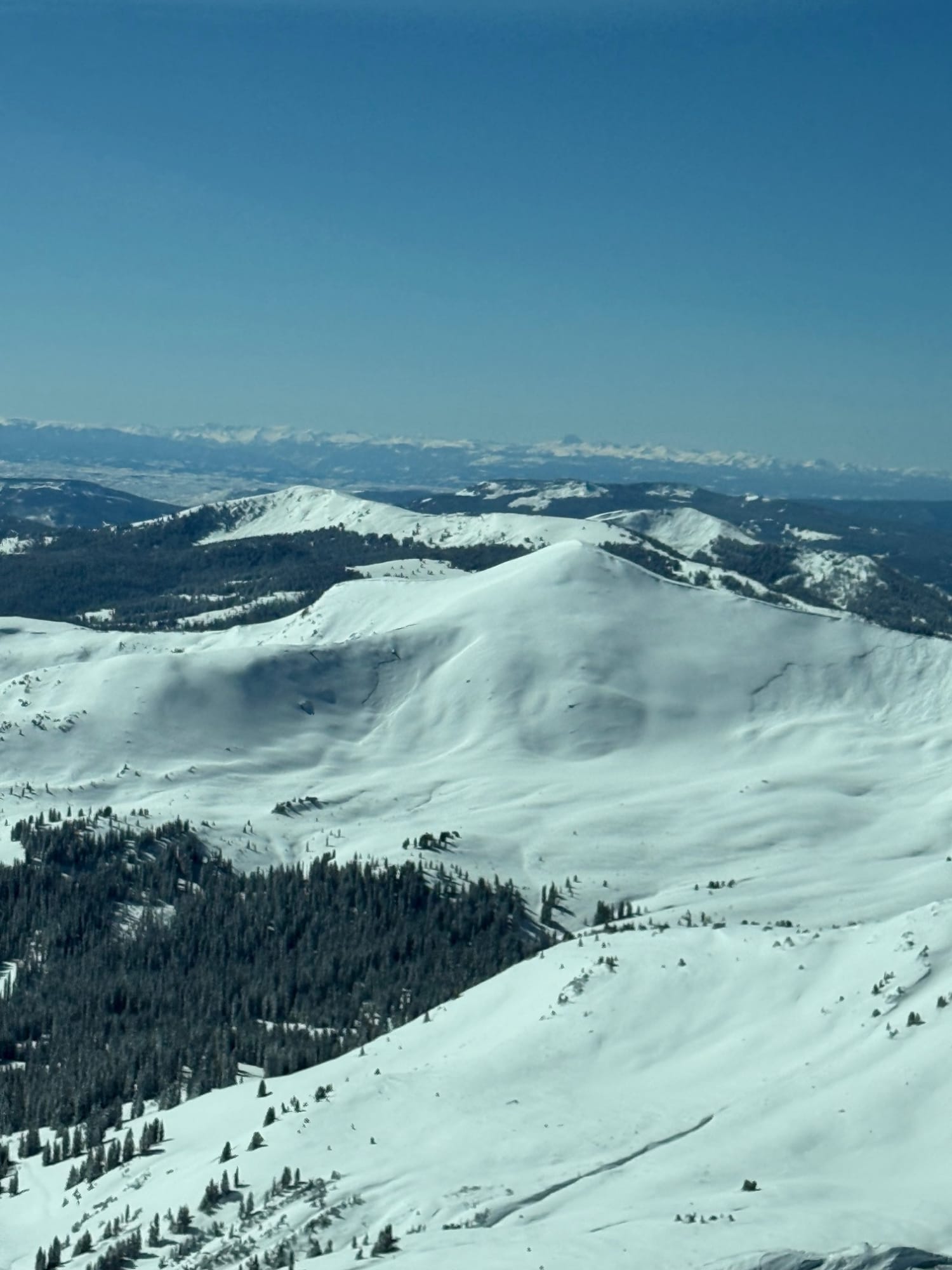 Observation photo