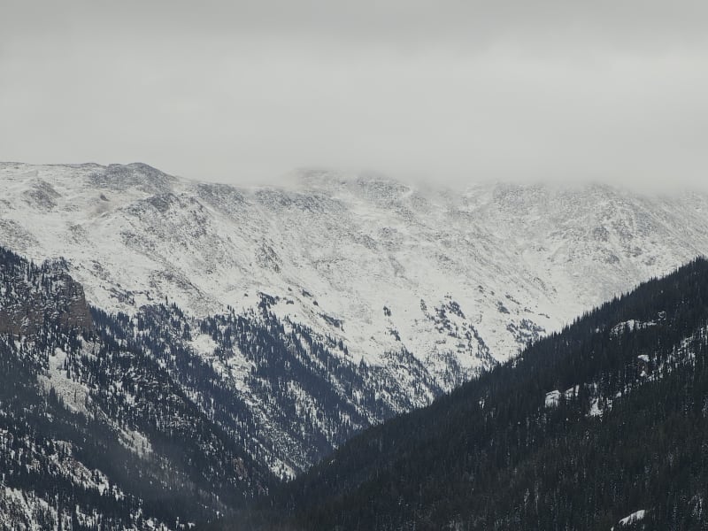 Observation photo 4