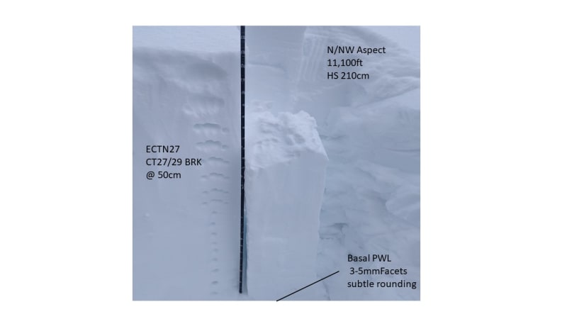 Observation photo 1