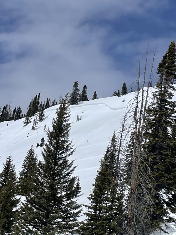 Observation photo 1