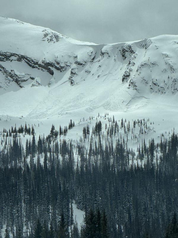 Observation photo 1