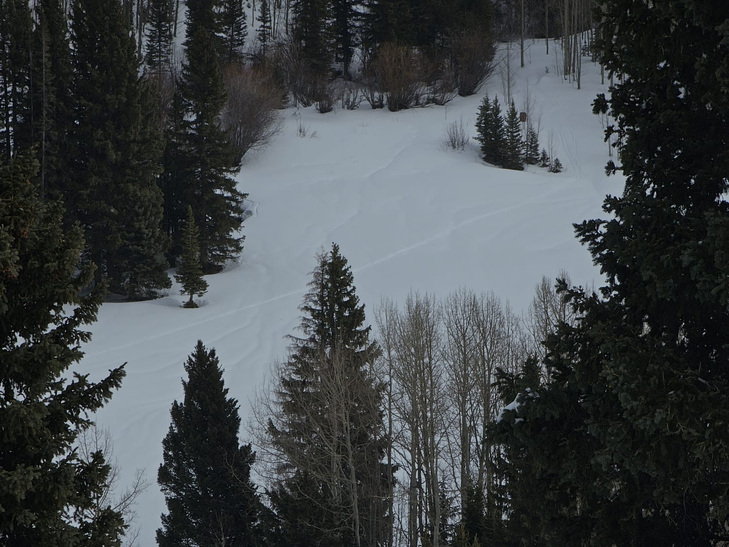 Observation photo