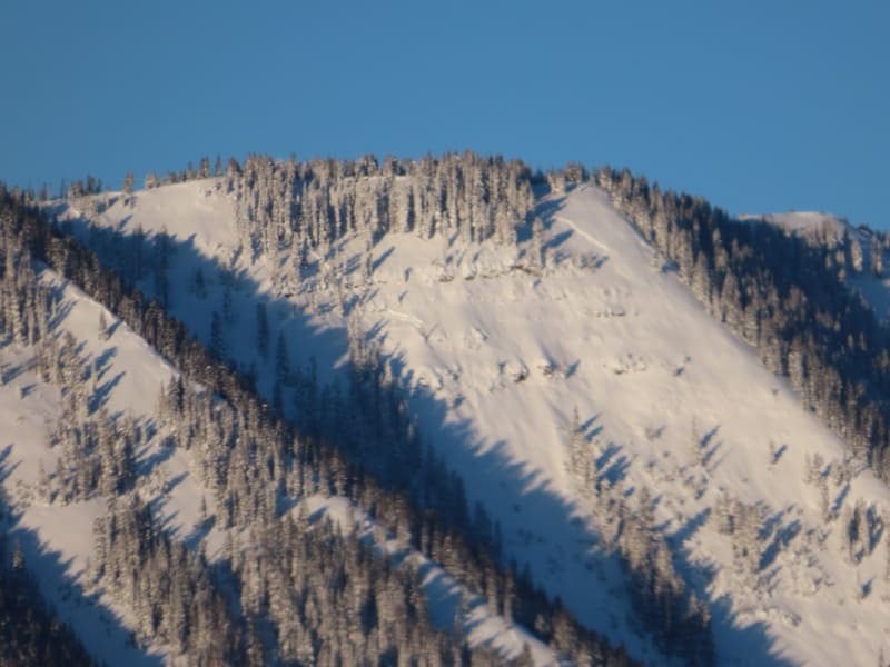Observation photo 1