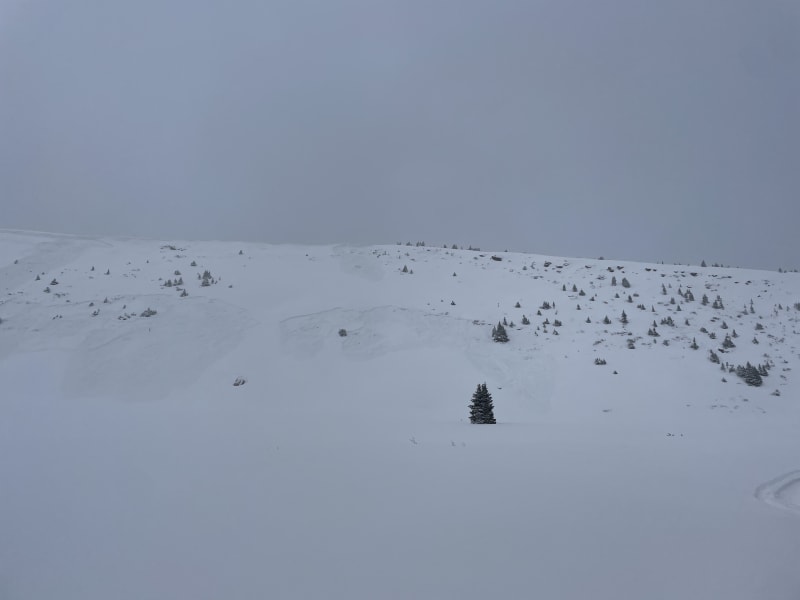 Observation photo 2