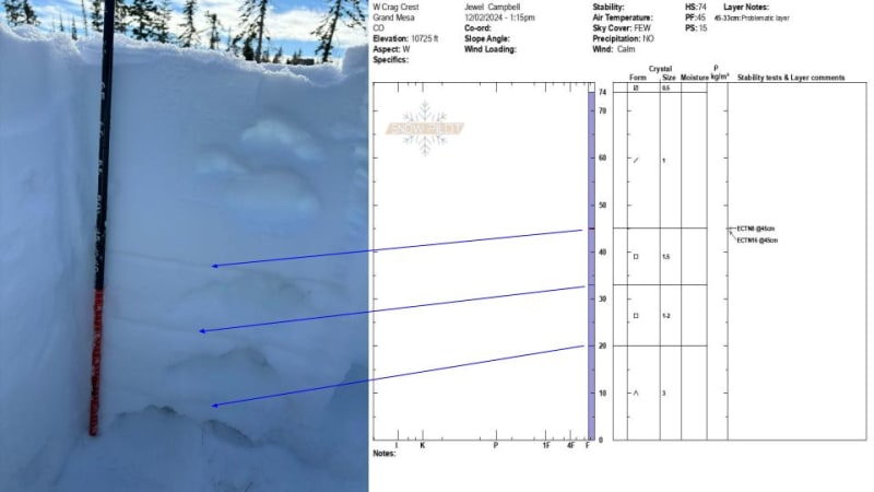Observation photo 5