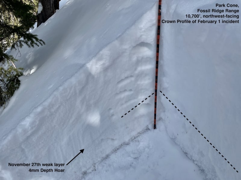 Observation photo 7