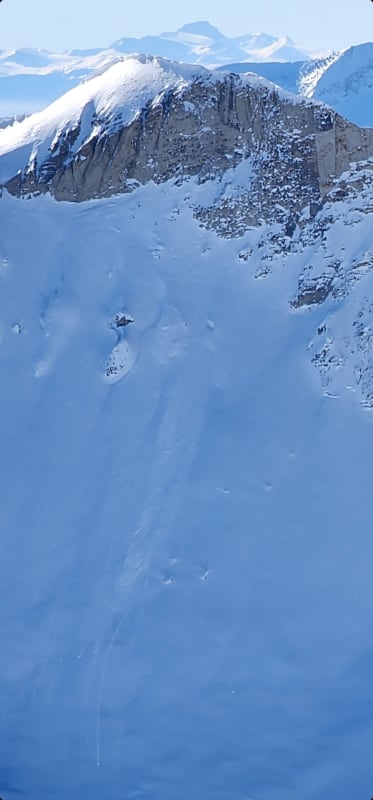 Observation photo 2