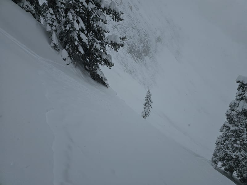 Observation photo 2