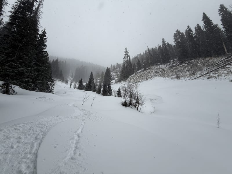 Observation photo 2
