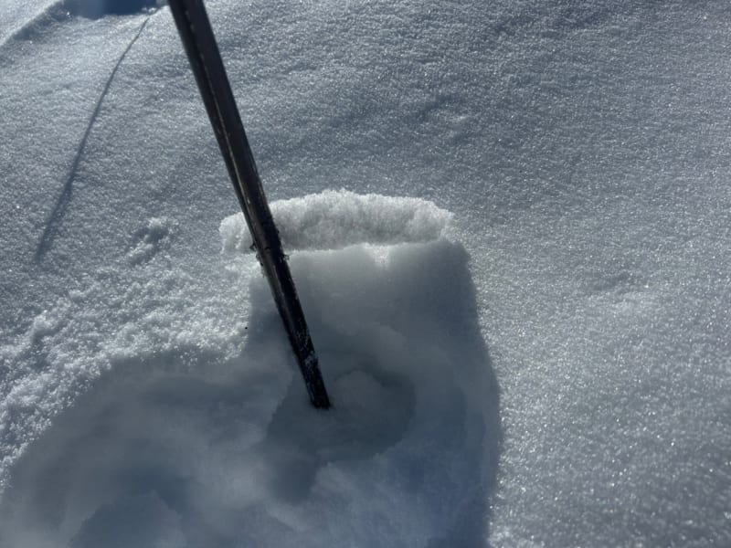 Observation photo 3