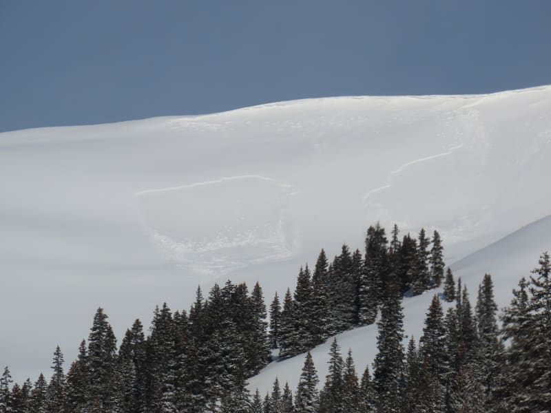 Observation photo 1