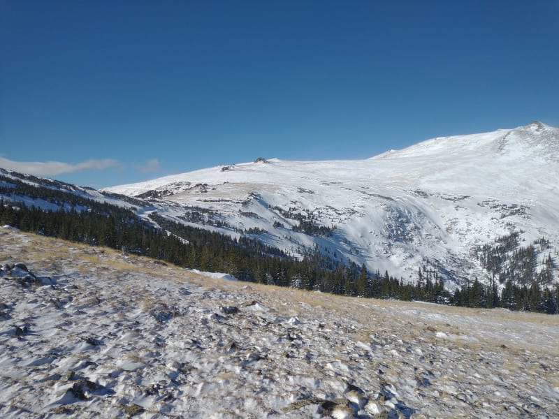 Observation photo 6