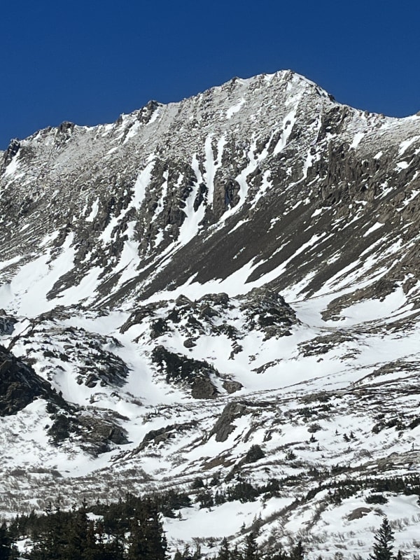 Observation photo 6