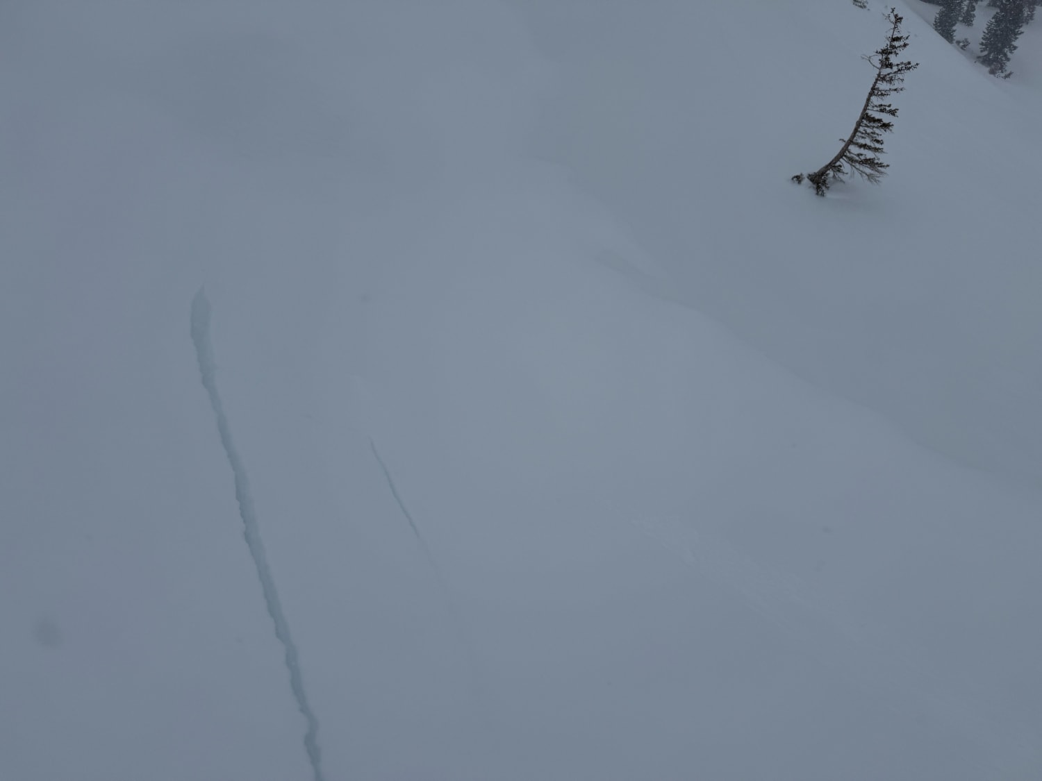 Observation photo