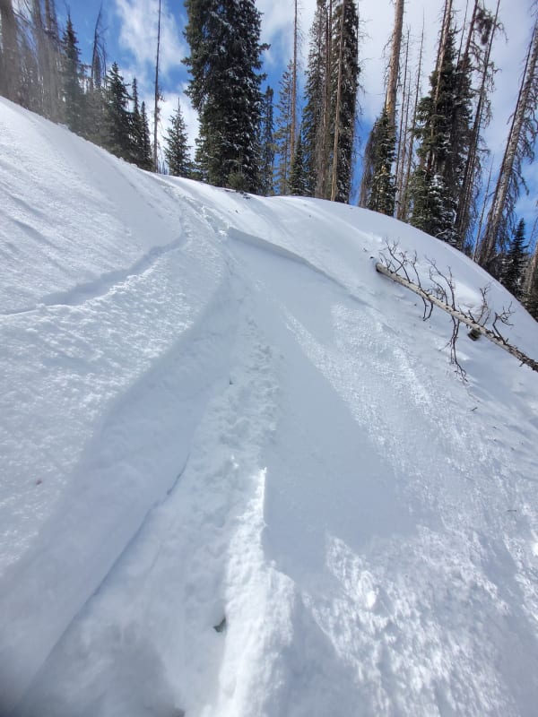 Observation photo 2