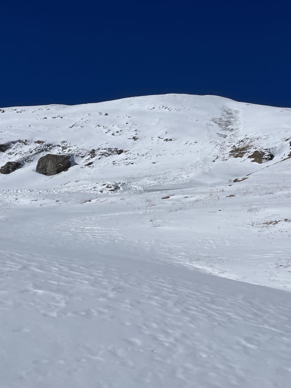 Observation photo 4