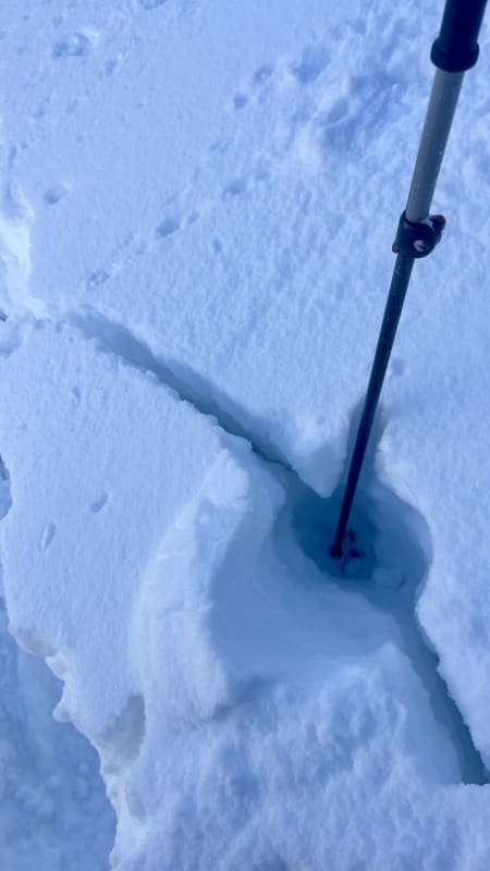 Observation photo 4