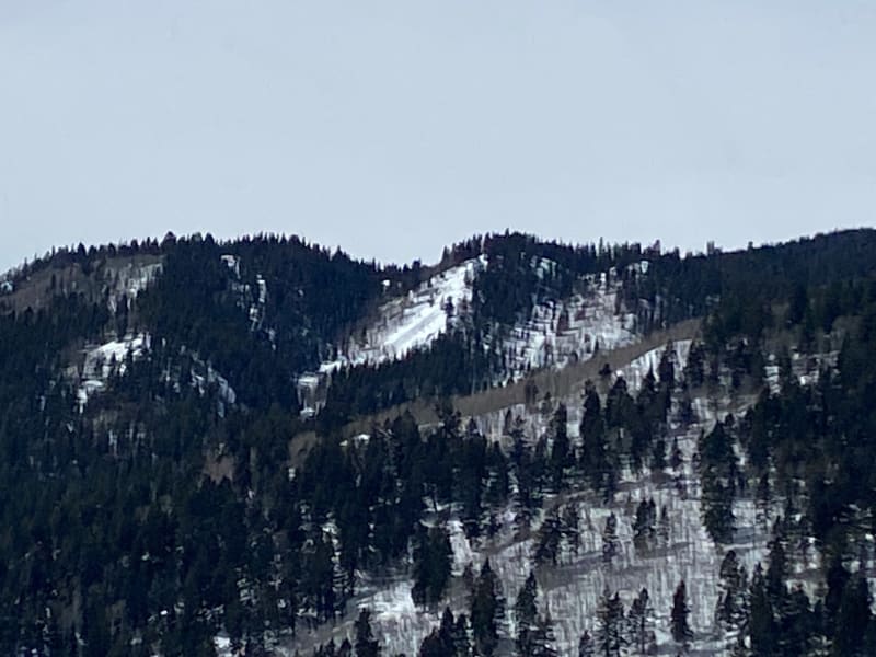 Observation photo 1