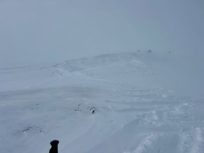 Observation photo 6