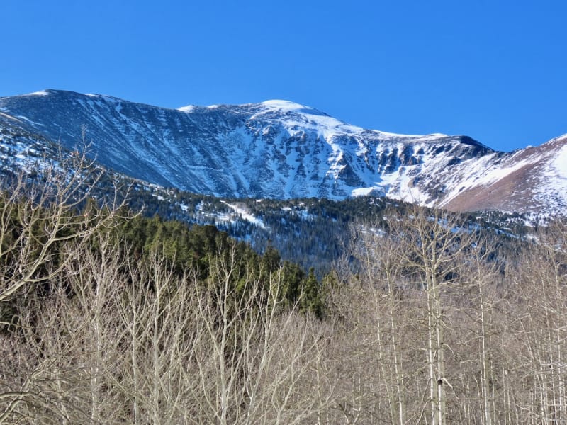 Observation photo 4