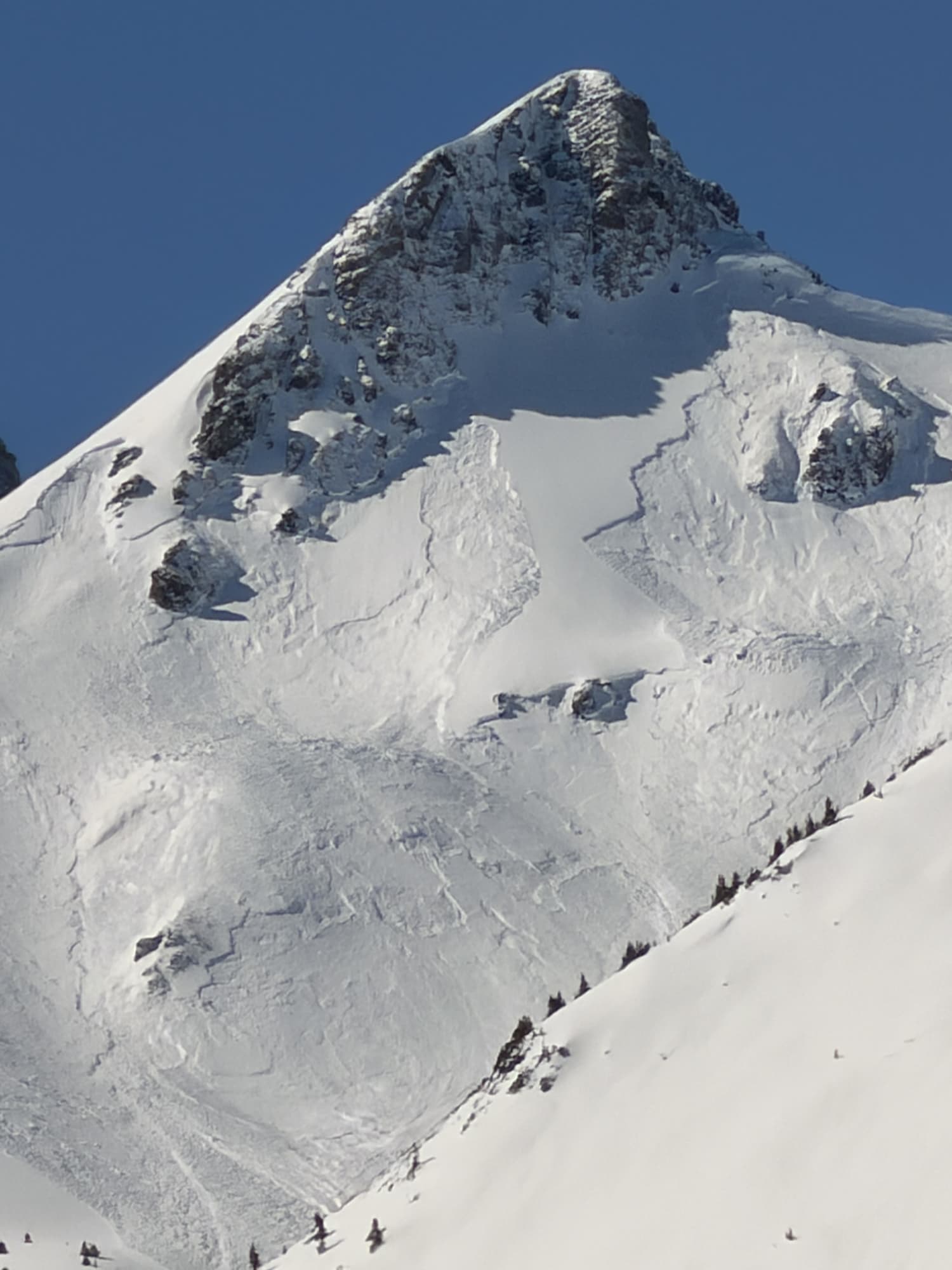 Observation photo