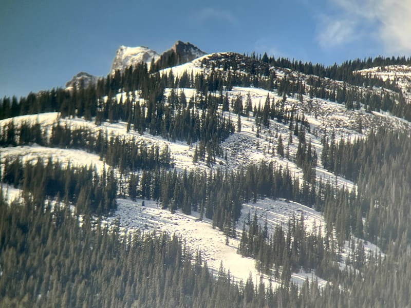 Observation photo 3