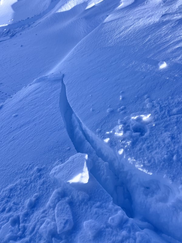 Observation photo 1