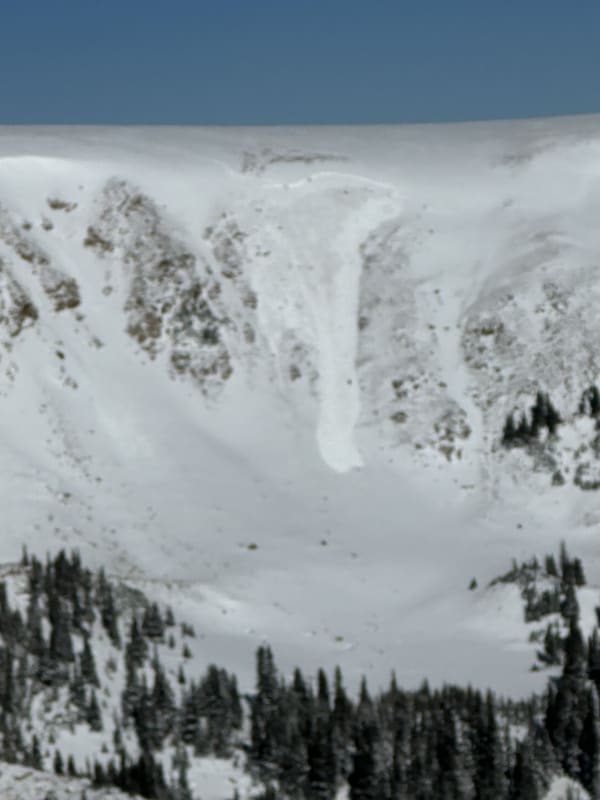 Observation photo 1
