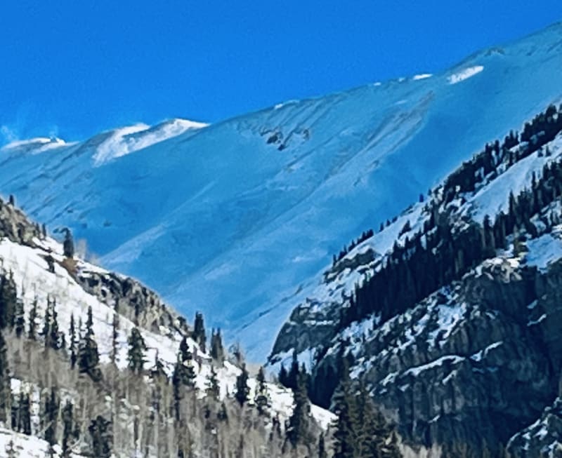 Observation photo 2