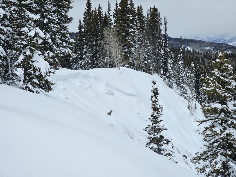 Observation photo 1