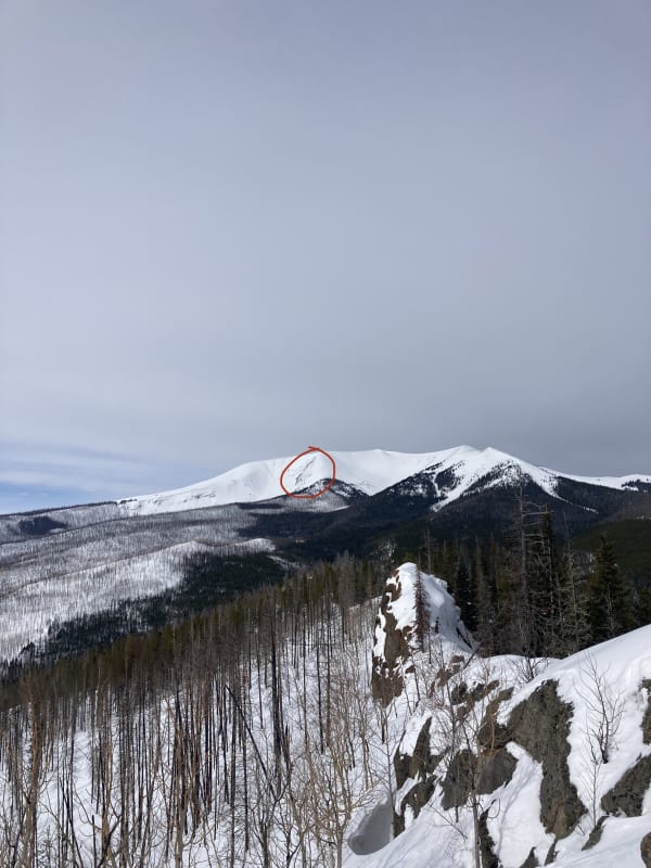 Observation photo 1