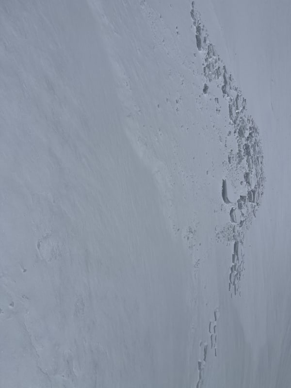 Observation photo 1