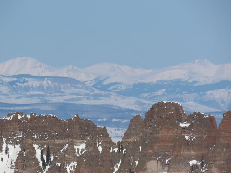 Observation photo 5