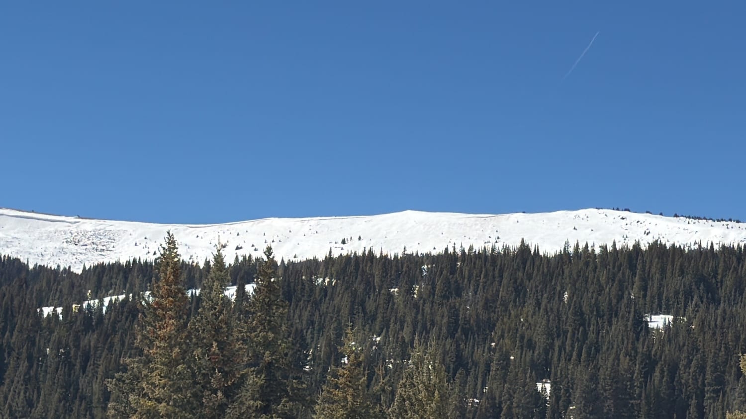 Observation photo
