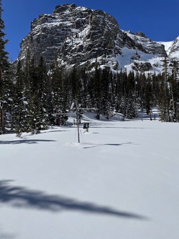 Observation photo 6