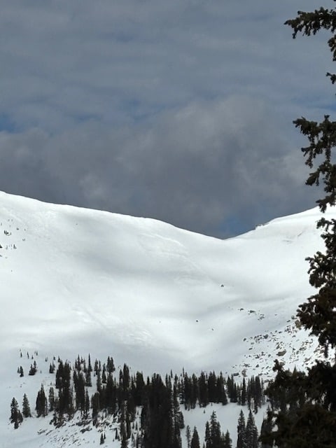 Observation photo 1