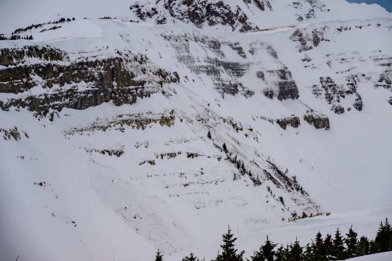 Observation photo 1