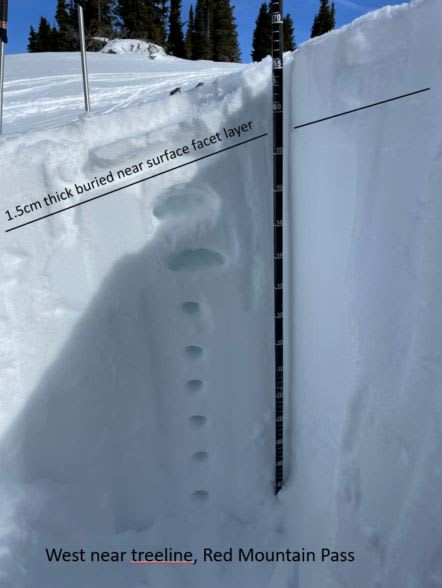 Observation photo 1