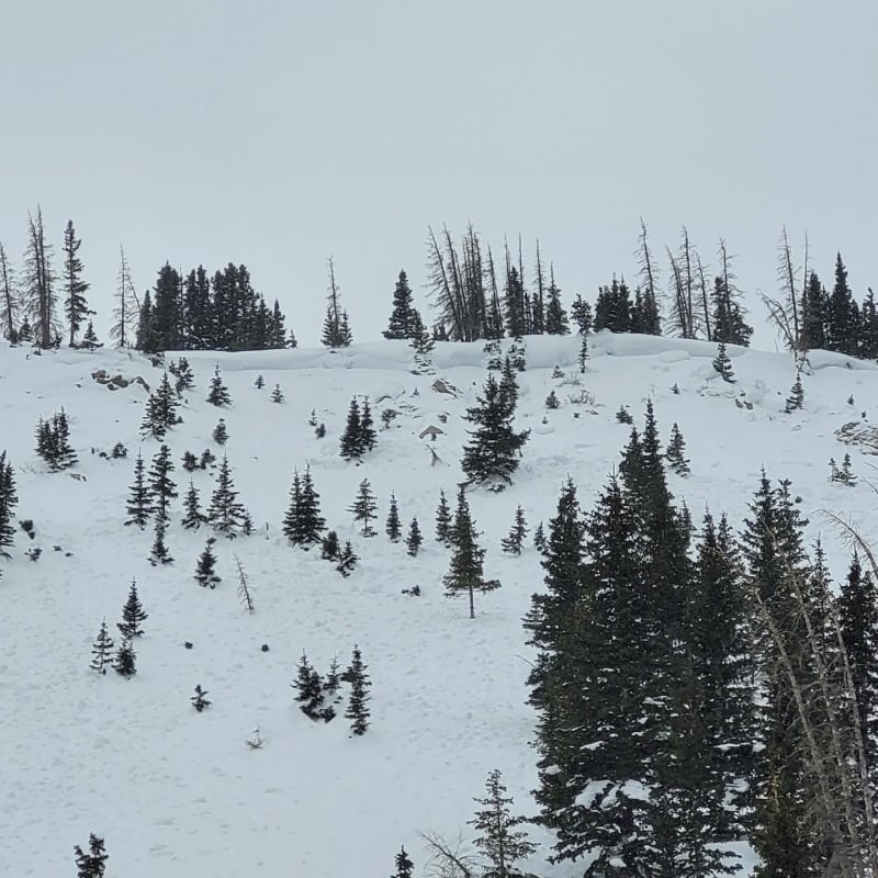 Observation photo 1